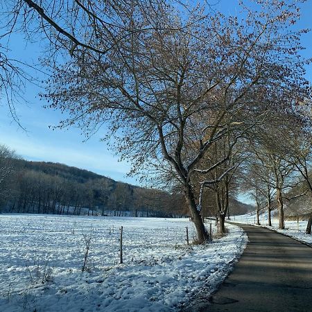 Gemuetliches Einfamilienhaus In Gera Mit 3 Schlafzimmern Mit Garten Und Parkplatz Екстер'єр фото